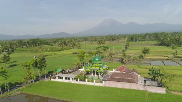 Moschee zwischen Reisfeldern Java Indonesien — Stockvideo