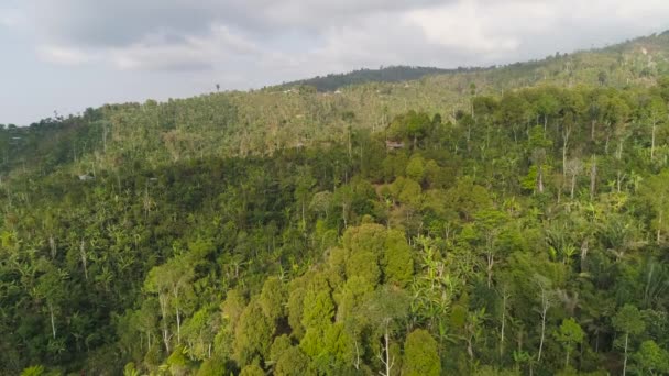 Paisaje tropical selva tropical y montañas — Vídeo de stock