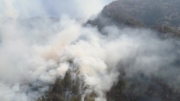 Waldbrand in den Bergen — Stockvideo