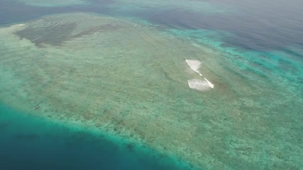 Arrecife de coral marino en el mar — Vídeo de stock