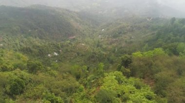 Endonezya 'da tarım arazileri ve köy Bali.