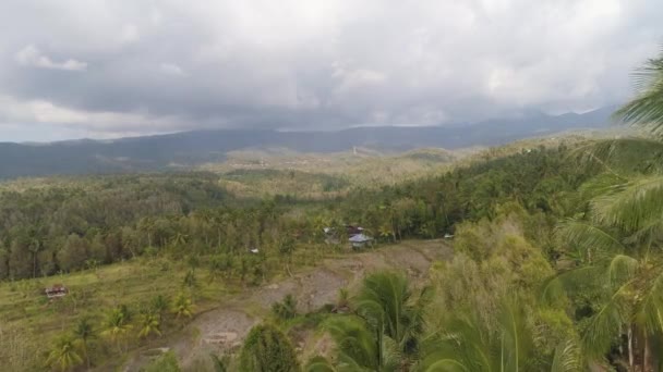 Тропический ландшафт с сельскохозяйственными угодьями в Индонезии — стоковое видео