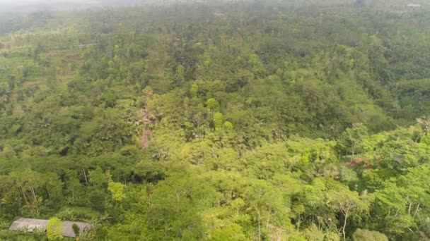 Landbouwgrond en dorp Bali, Indonesië. — Stockvideo