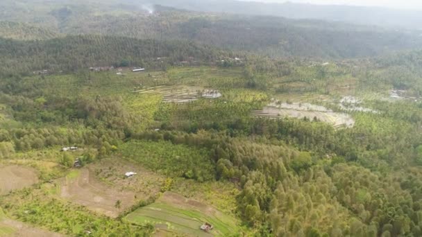 Paisagem tropical com terras agrícolas na indonésia — Vídeo de Stock