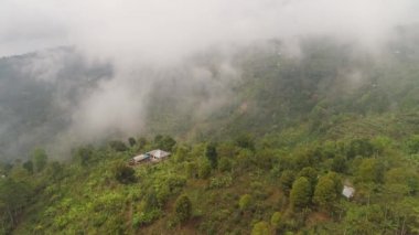 Endonezya 'da tarım arazileri ve köy Bali.