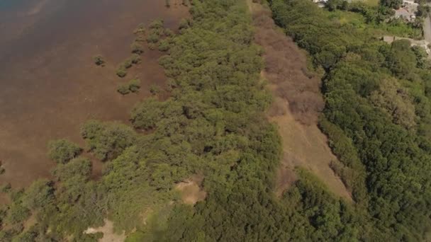 Paisagem tropical com, montanhas, praia — Vídeo de Stock