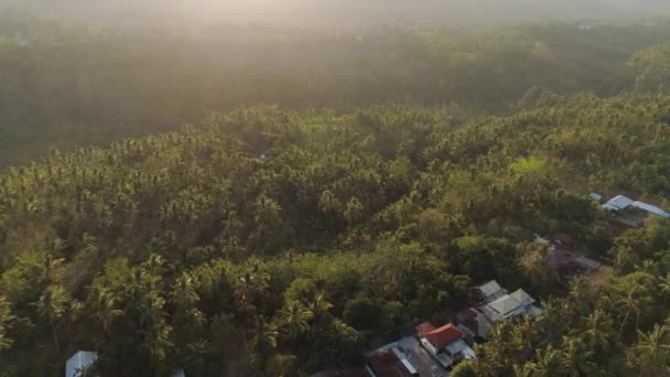 Arrozales Y Tierras Agrícolas Con Cultivos Al Atardecer Terraza De Cultivo Vista Aérea Con Arroz Cultivos Agrícolas En Campo Indonesia Bali