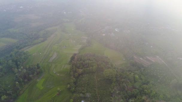 Terres agricoles et village Bali, Indonésie. — Video