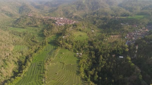 인도네시아의 계단식논 과 농토 — 비디오