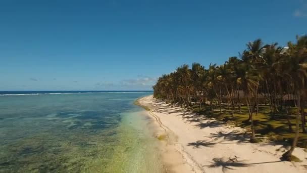 Tropical beach with and turquoise sea — Stock Video