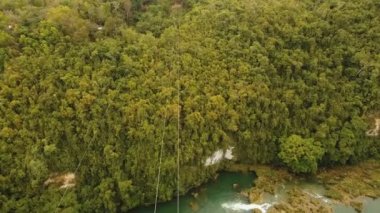 Cazibe zipline ormanda Bohol, Filipinler.