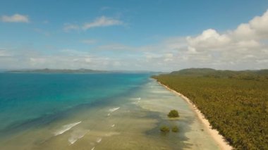 Tropikal plaj ve turkuaz deniz