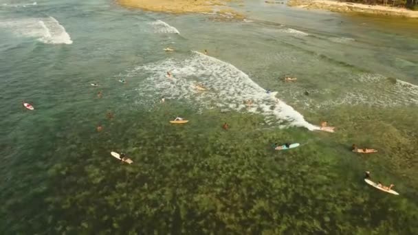 Surfistas en la superficie del agua — Vídeo de stock