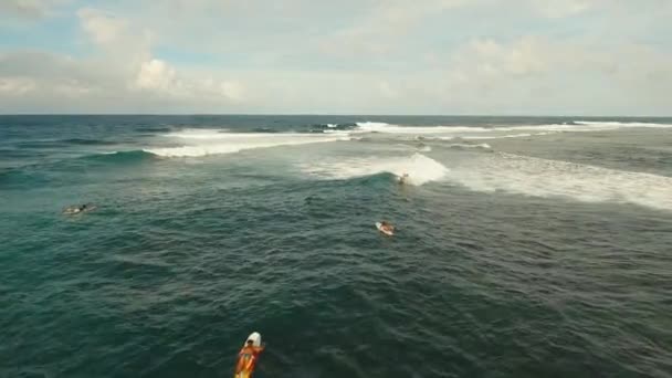 Surfistas en la superficie del agua — Vídeo de stock