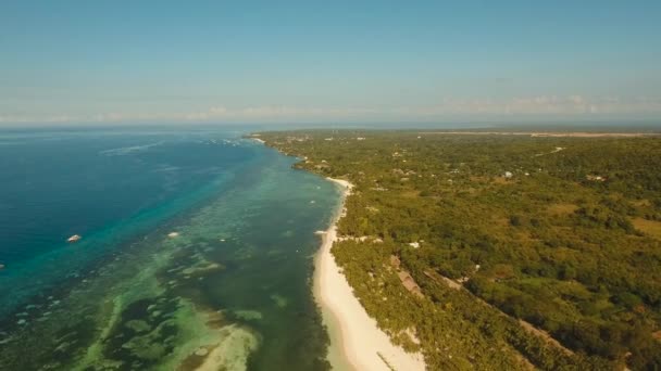 Playa tropical y mar turquesa Filipinas, Bohol — Vídeo de stock