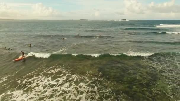 Surfistas en la superficie del agua — Vídeo de stock