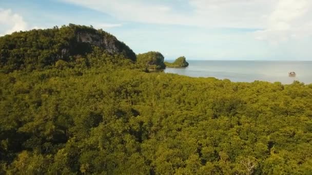 Costa de isla tropical. — Vídeo de stock