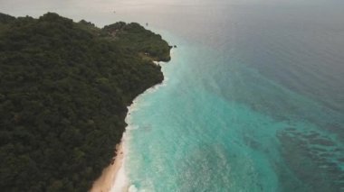 palmiye ağaçları ile tropikal kum plaj