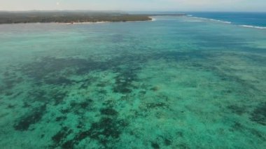 Tropikal plaj ve turkuaz deniz
