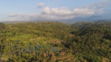 Endonezya 'da tarım arazisi olan tropikal araziler