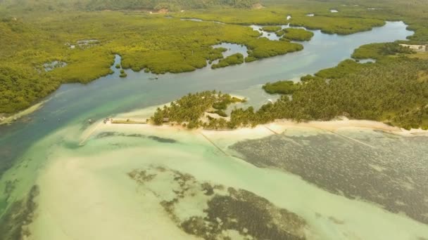 Tropikalna plaża z turkusowym morzem — Wideo stockowe