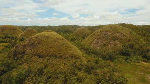 Landschaft mit grünen Hügeln Bohol, Philippinen — Stockvideo