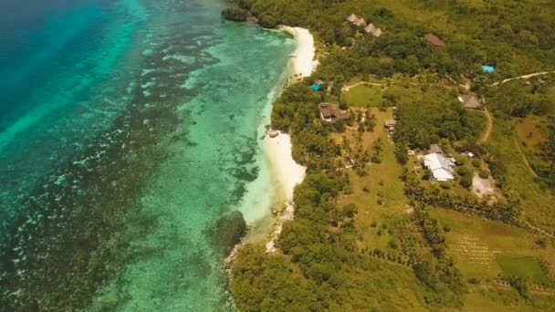 空中の砂のビーチとヤシの木は青いターコイズ ブルーのラグーン海ボホール Anda 熱帯の風景海 フィリピン 旅行の概念 空中映像 — ストック動画