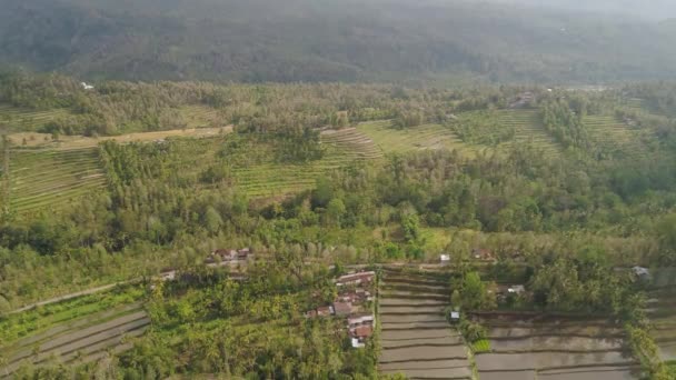 Paisagem tropical com terras agrícolas na indonésia — Vídeo de Stock