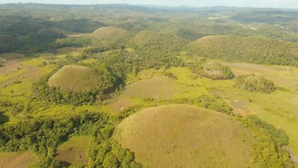 Paesaggio con verdi colline Bohol, Filippine — Video Stock