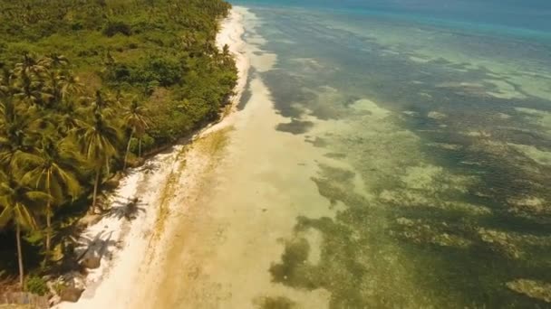 Turkuaz deniz Filipinler, Bohol ve tropikal plaj — Stok video