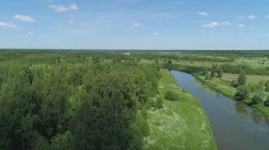 Havadan görünümü yaz manzara, nehir ağaçları arasında. kırsal, Nehri kıyısında yeşil, gökyüzü ve bulutlar karşı ile kaplıdır.