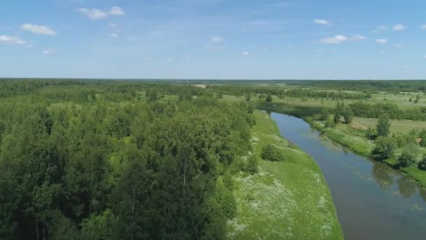 Letecký Pohled Letní Krajina Řeka Mezi Stromy Krajina Březích Řeky — Stock video