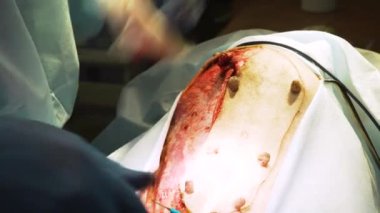 Veteriner kliniğinde bir köpeğin cerrahi müdahalesi