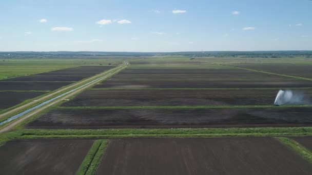 Sistema de irrigação em terras agrícolas. — Vídeo de Stock