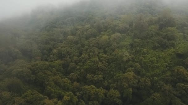 Regenwald in Wolken, Bali, Indonesien. — Stockvideo