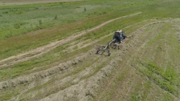 Tractor con rastrillo henificadores en el campo de la granja. — Vídeo de stock