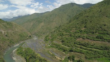 Dağlarda pirinç terasları.
