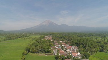 Endonezya 'da pirinç terasları ve tarım arazileri