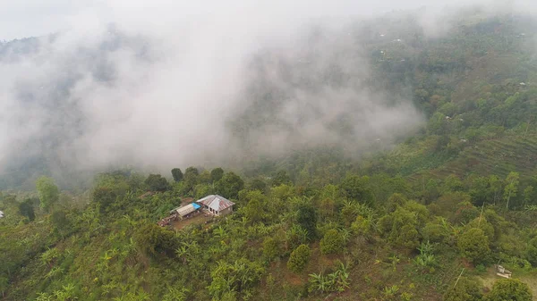 Tierras de cultivo y aldea Bali, Indonesia. —  Fotos de Stock