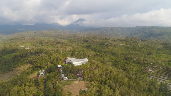 Trópusi táj mezőgazdasági földterülettel Indonéziában — Stock Fotó