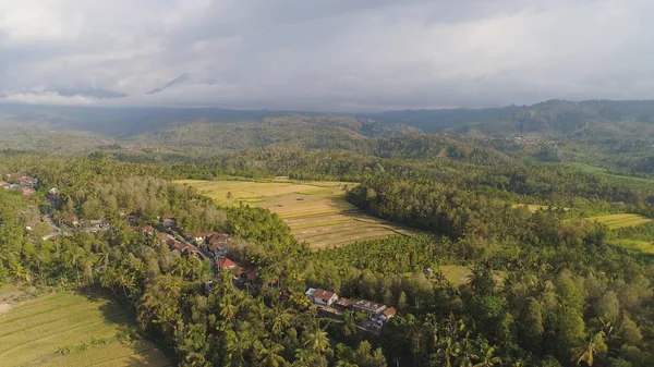 Paisaje tropical con tierras agrícolas en indonesia —  Fotos de Stock