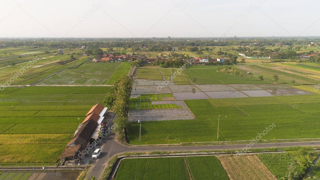 Rice field and agricultural land in indonesia