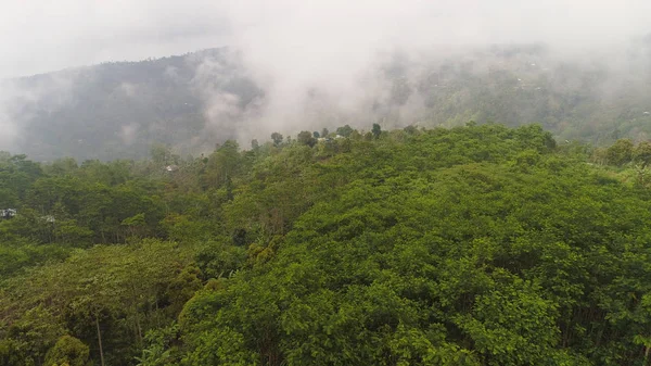 Tierras de cultivo y aldea Bali, Indonesia. — Foto de Stock