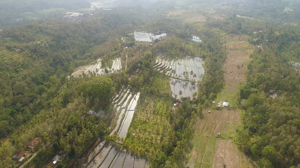 Τροπικό τοπίο με γεωργική γη στην Ινδονησία — Φωτογραφία Αρχείου