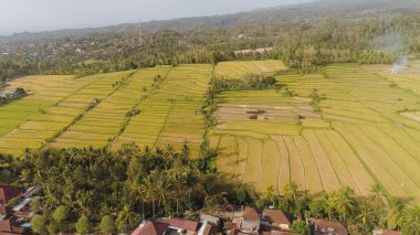 Endonezya 'da tarım arazisi olan tropikal araziler
