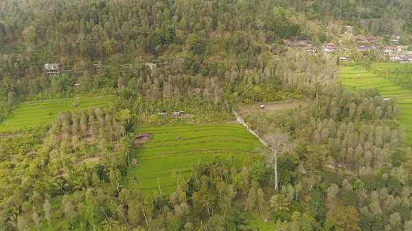 Paisaje tropical con tierras agrícolas en indonesia —  Fotos de Stock