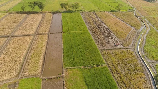 Endonezya 'da pirinç tarlası ve tarım arazisi