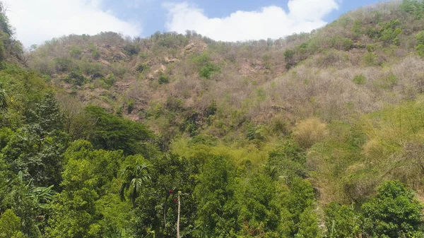 Vista Aérea Laderas Montañas Cubiertas Bosque Vegetación Contra Cielo Azul — Foto de Stock