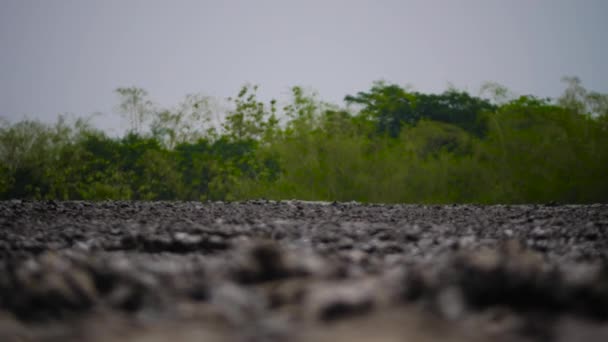 Schlammvulkan Bledug Kuwu, Indonesien — Stockvideo