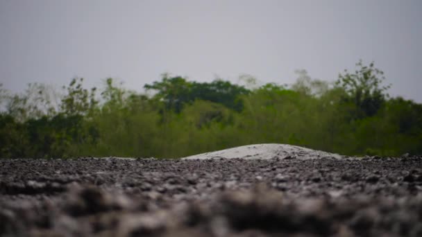 Volcán de lodo Bledug Kuwu, Indonesia — Vídeos de Stock